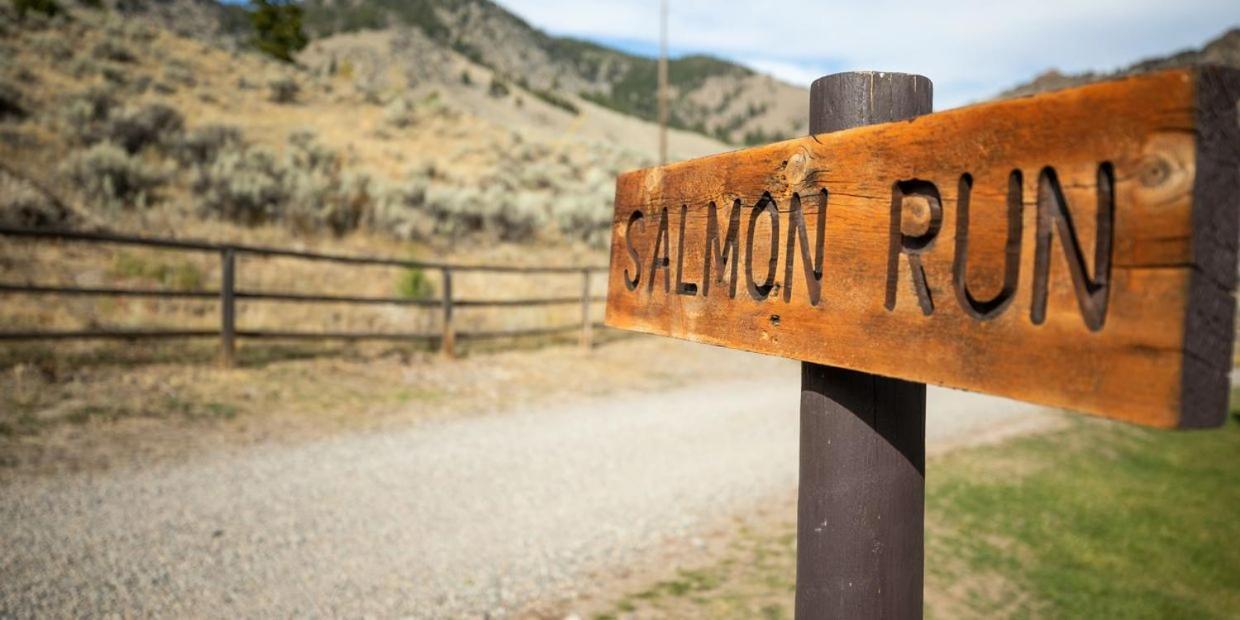 Twin Peaks Guest Ranch Villa Salmon Exterior foto